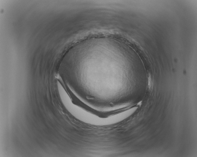 X0000081501492200702021934