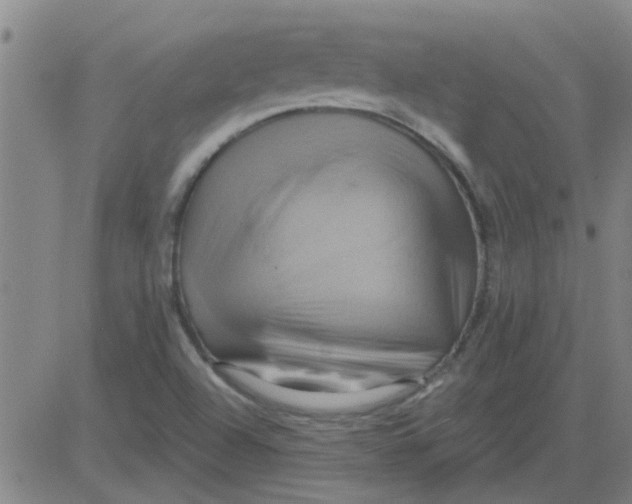 X0000081501504200702021935