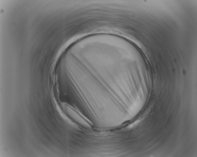 X0000081501515200702021935