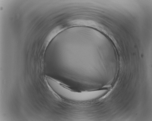 X0000081501529200702021935
