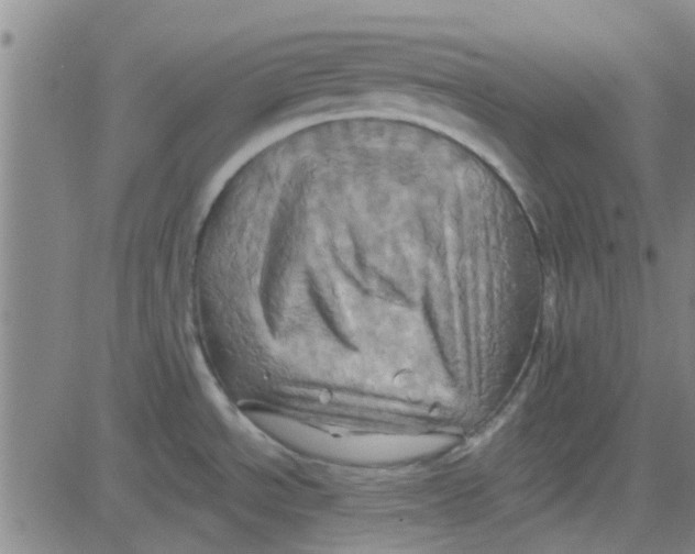 X0000081501534200702021935