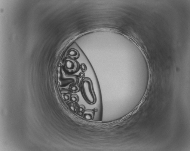 X0000081500001200702100107
