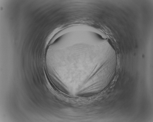X0000081500003200702100107