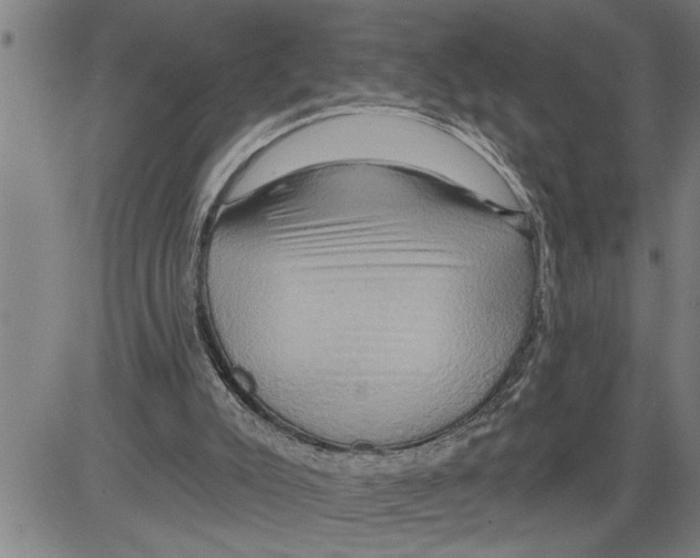 X0000081500007200702100107