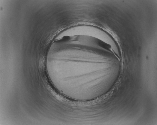 X0000081500009200702100107