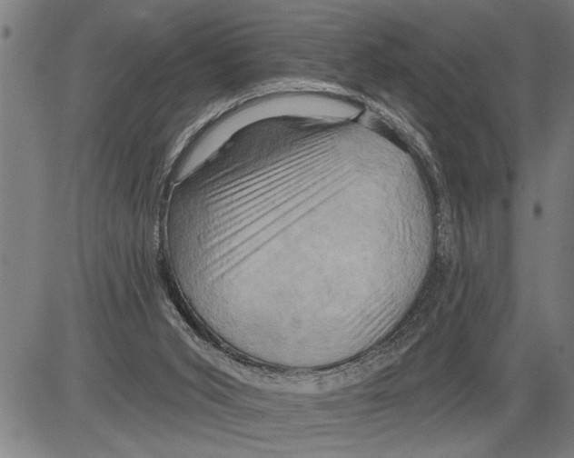X0000081500015200702100107