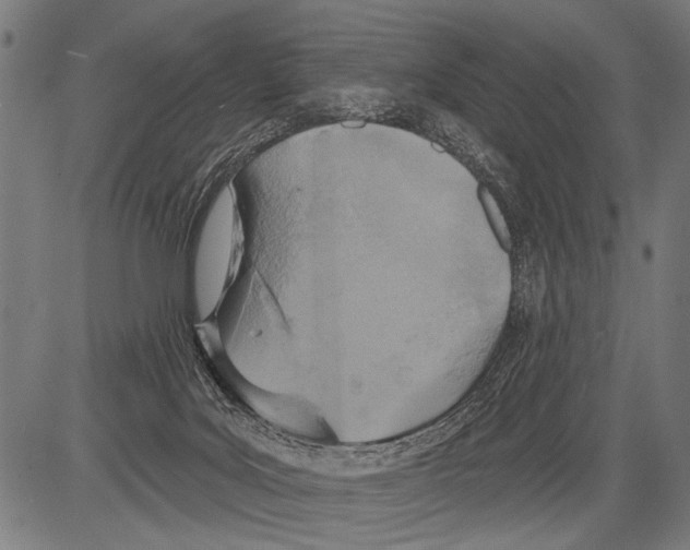 X0000081500027200702100107