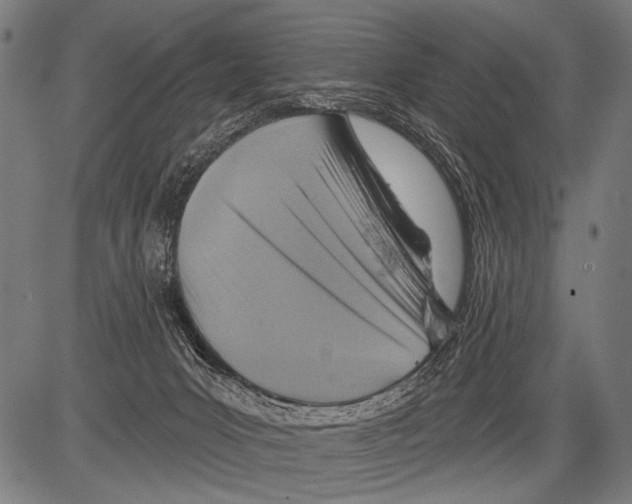 X0000081500031200702100107