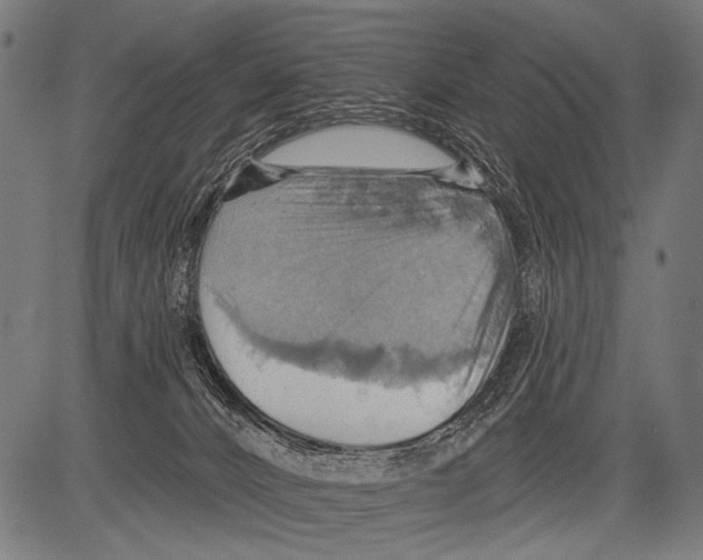 X0000081500032200702100107