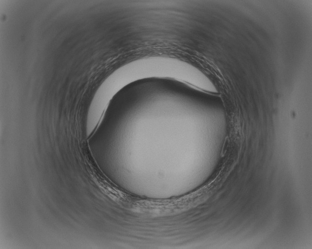 X0000081500033200702100107