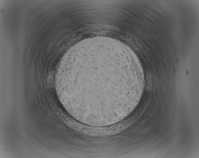 X0000081500034200702100107