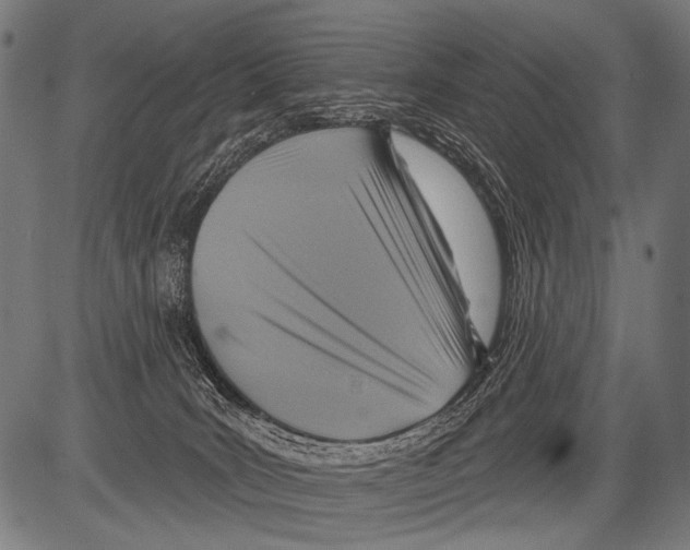X0000081500035200702100107