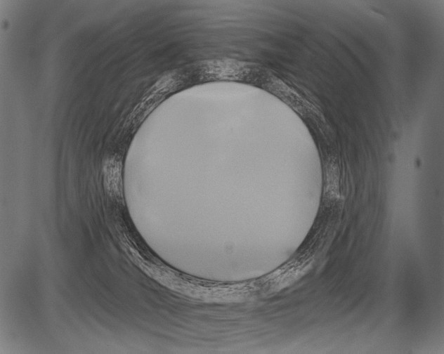 X0000081500036200702100107