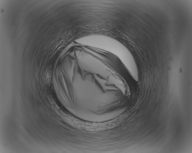 X0000081500039200702100107