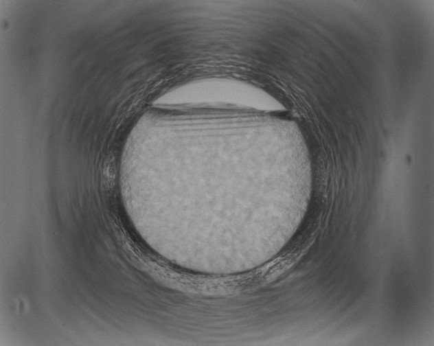 X0000081500040200702100107