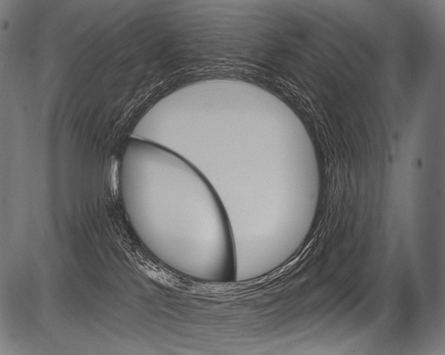 X0000081500041200702100107