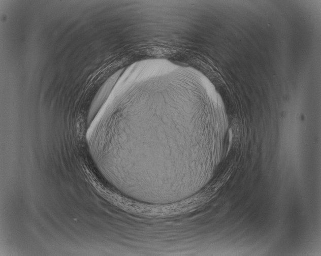 X0000081500043200702100106