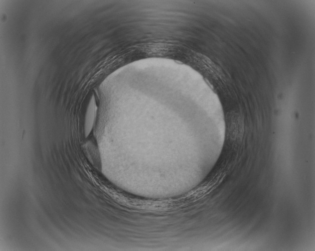 X0000081500044200702100106