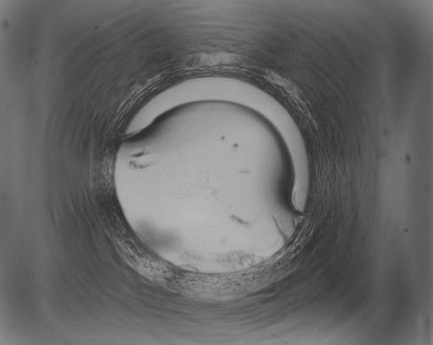 X0000081500045200702100106