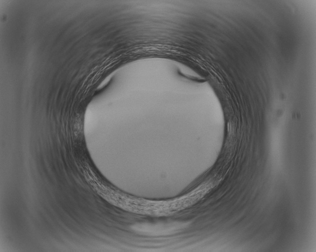 X0000081500048200702100106