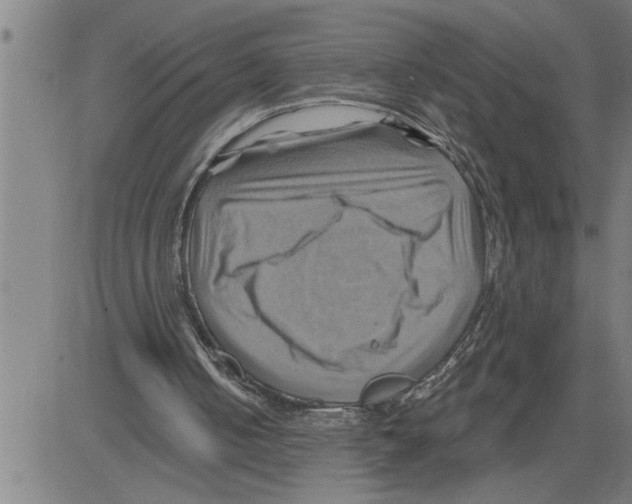 X0000081500050200702100106