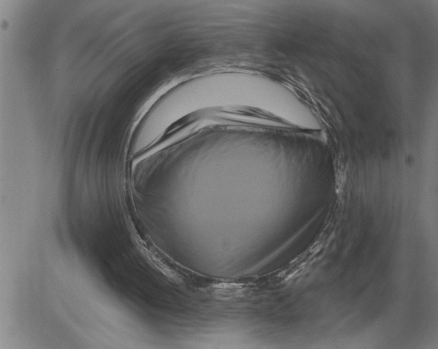 X0000081500052200702100106