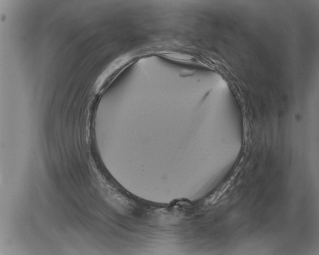 X0000081500054200702100106