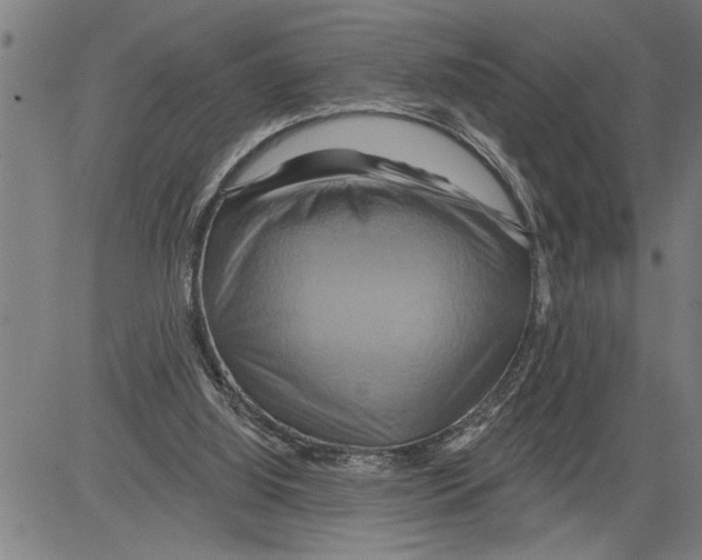 X0000081500060200702100106