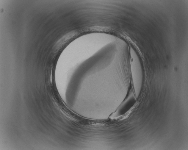 X0000081500062200702100106