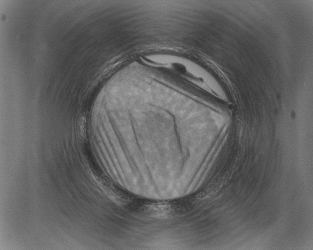 X0000081500071200702100106
