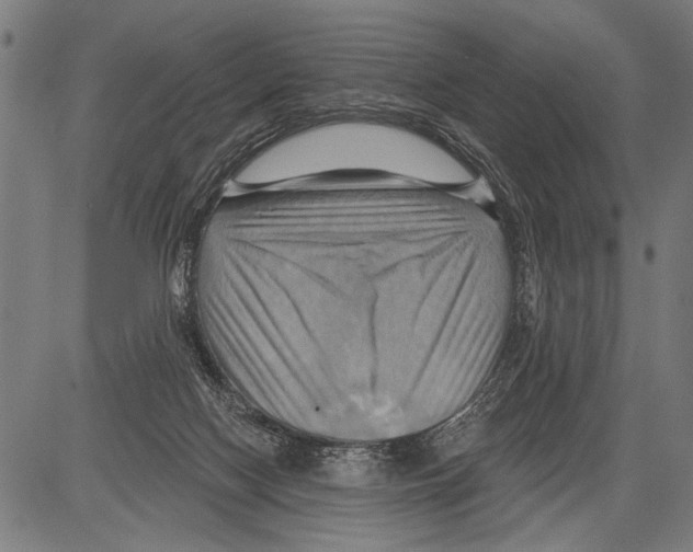 X0000081500074200702100106