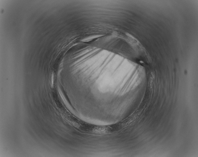 X0000081500076200702100106