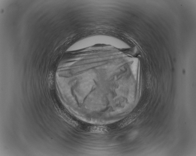 X0000081500077200702100106