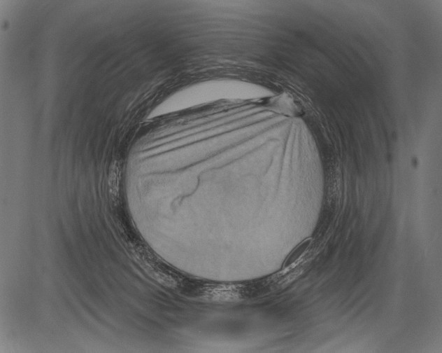 X0000081500078200702100106