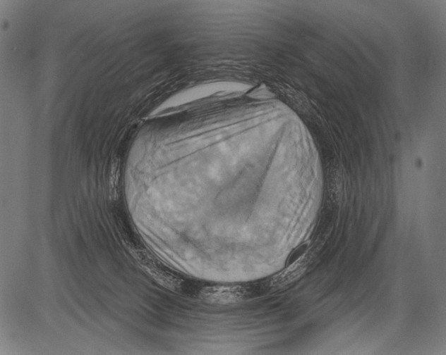 X0000081500082200702100106