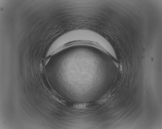 X0000081500084200702100106