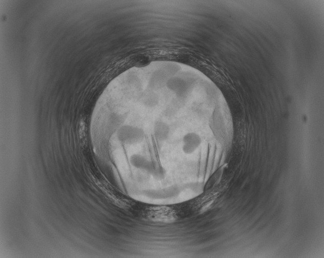 X0000081500087200702100106