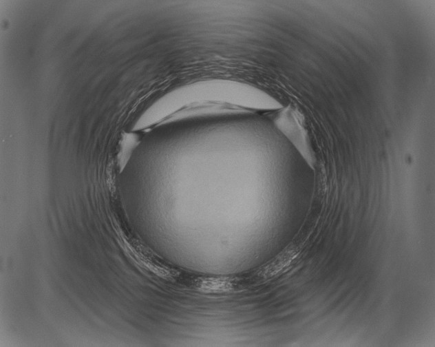 X0000081500088200702100106