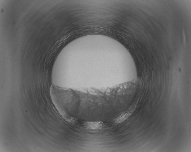 X0000081500089200702100106
