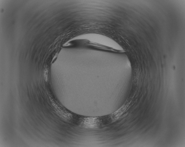 X0000081500090200702100106