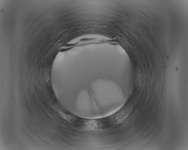 X0000081500091200702100106