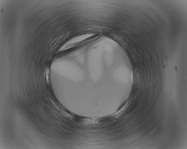 X0000081500094200702100106