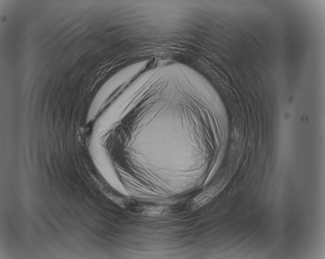 X0000081500096200702100106