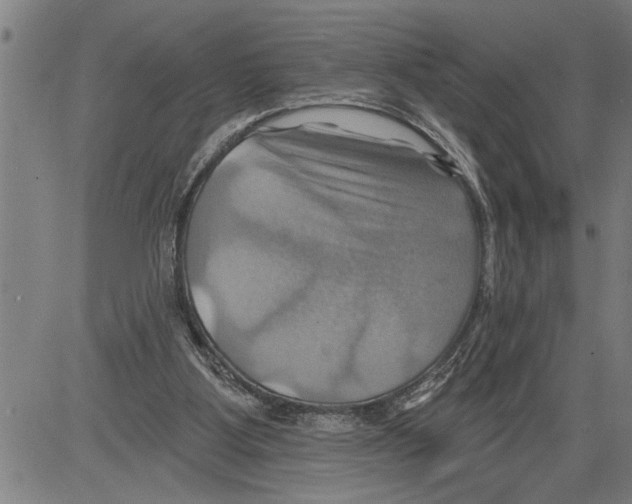 X0000081500107200702100105