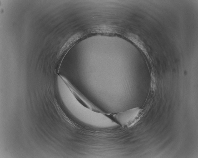 X0000081500109200702100105