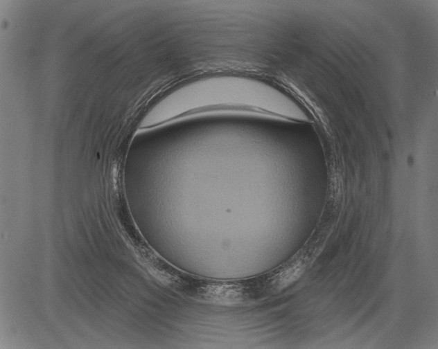 X0000081500117200702100105
