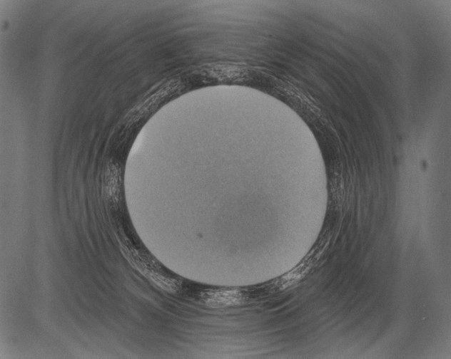 X0000081500132200702100105