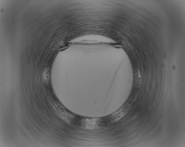 X0000081500134200702100105