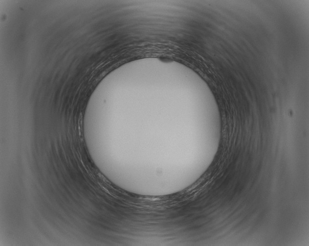 X0000081500137200702100105