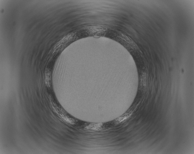 X0000081500138200702100105